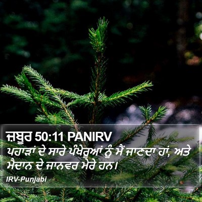 ਜ਼ਬੂਰ 50:11 PANIRV Bible Verse Image