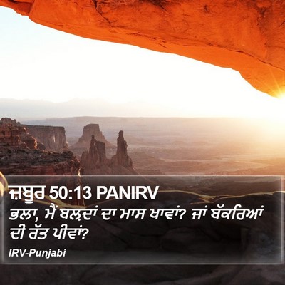 ਜ਼ਬੂਰ 50:13 PANIRV Bible Verse Image