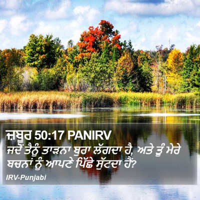 ਜ਼ਬੂਰ 50:17 PANIRV Bible Verse Image