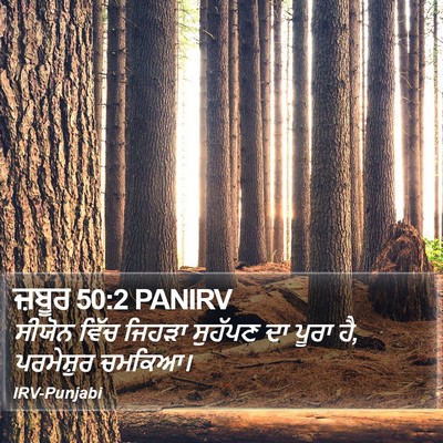 ਜ਼ਬੂਰ 50:2 PANIRV Bible Verse Image