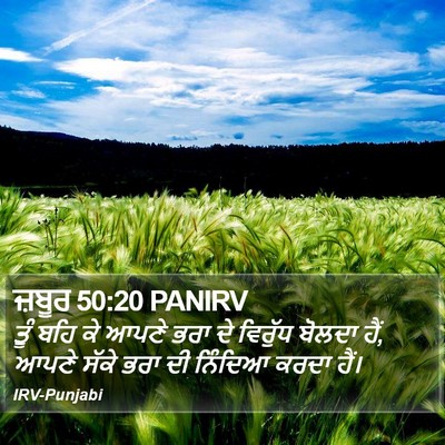 ਜ਼ਬੂਰ 50:20 PANIRV Bible Verse Image