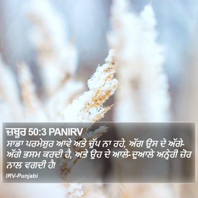 ਜ਼ਬੂਰ 50:3 PANIRV Bible Verse Image