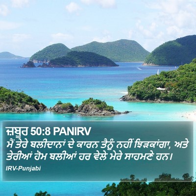 ਜ਼ਬੂਰ 50:8 PANIRV Bible Verse Image