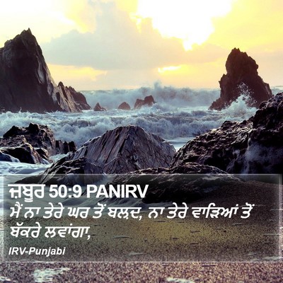 ਜ਼ਬੂਰ 50:9 PANIRV Bible Verse Image