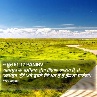 ਜ਼ਬੂਰ 51:17 PANIRV Bible Verse Image