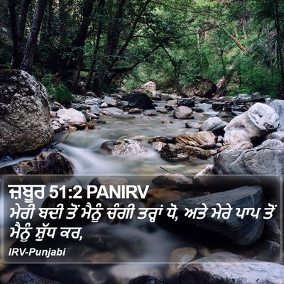 ਜ਼ਬੂਰ 51:2 PANIRV Bible Verse Image
