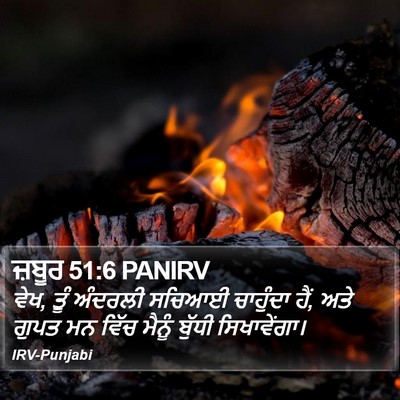 ਜ਼ਬੂਰ 51:6 PANIRV Bible Verse Image