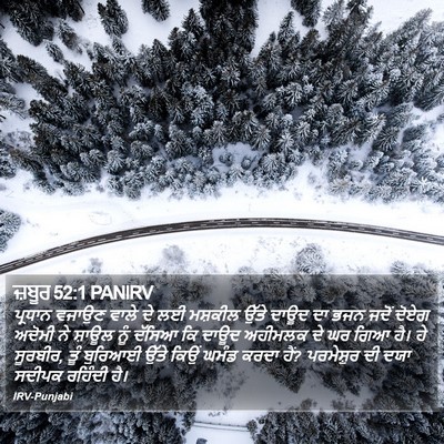 ਜ਼ਬੂਰ 52:1 PANIRV Bible Verse Image