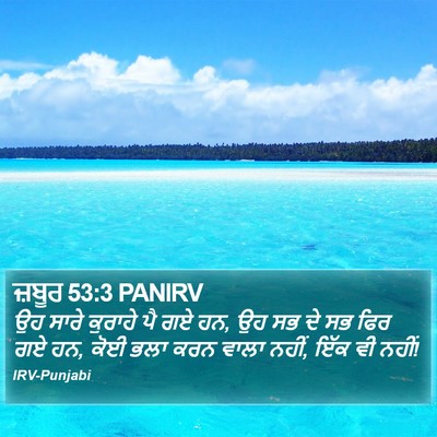 ਜ਼ਬੂਰ 53:3 PANIRV Bible Verse Image