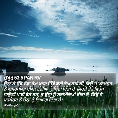 ਜ਼ਬੂਰ 53:5 PANIRV Bible Verse Image