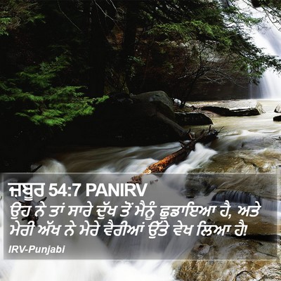 ਜ਼ਬੂਰ 54:7 PANIRV Bible Verse Image