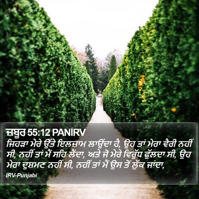ਜ਼ਬੂਰ 55:12 PANIRV Bible Verse Image