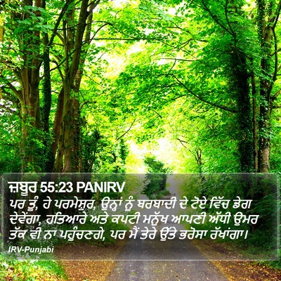 ਜ਼ਬੂਰ 55:23 PANIRV Bible Verse Image