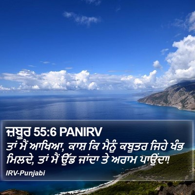 ਜ਼ਬੂਰ 55:6 PANIRV Bible Verse Image