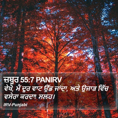 ਜ਼ਬੂਰ 55:7 PANIRV Bible Verse Image