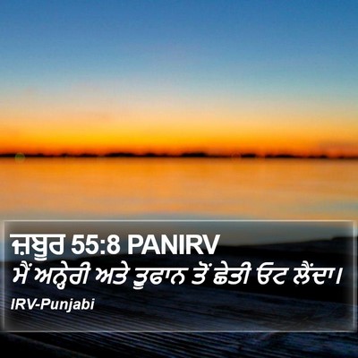 ਜ਼ਬੂਰ 55:8 PANIRV Bible Verse Image