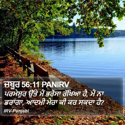 ਜ਼ਬੂਰ 56:11 PANIRV Bible Verse Image
