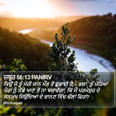 ਜ਼ਬੂਰ 56:13 PANIRV Bible Verse Image