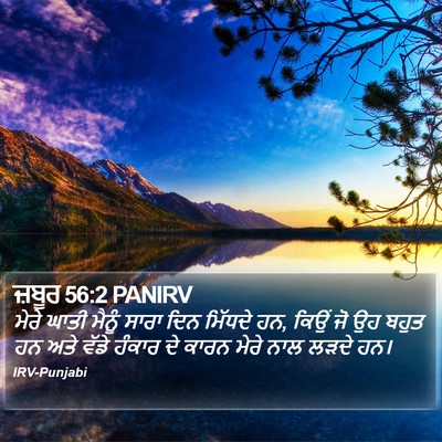 ਜ਼ਬੂਰ 56:2 PANIRV Bible Verse Image