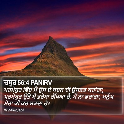 ਜ਼ਬੂਰ 56:4 PANIRV Bible Verse Image
