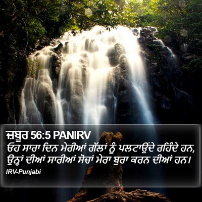 ਜ਼ਬੂਰ 56:5 PANIRV Bible Verse Image