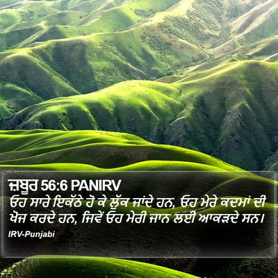 ਜ਼ਬੂਰ 56:6 PANIRV Bible Verse Image