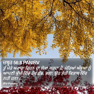 ਜ਼ਬੂਰ 56:8 PANIRV Bible Verse Image