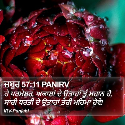 ਜ਼ਬੂਰ 57:11 PANIRV Bible Verse Image