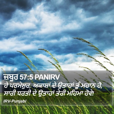 ਜ਼ਬੂਰ 57:5 PANIRV Bible Verse Image