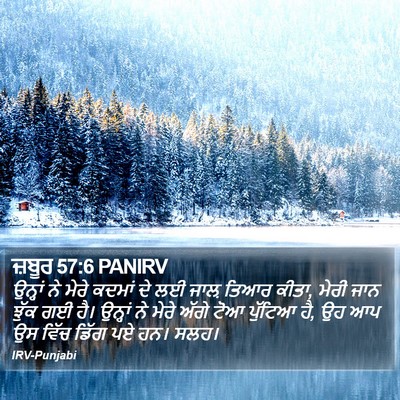 ਜ਼ਬੂਰ 57:6 PANIRV Bible Verse Image