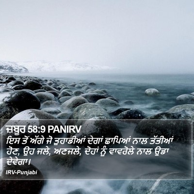 ਜ਼ਬੂਰ 58:9 PANIRV Bible Verse Image