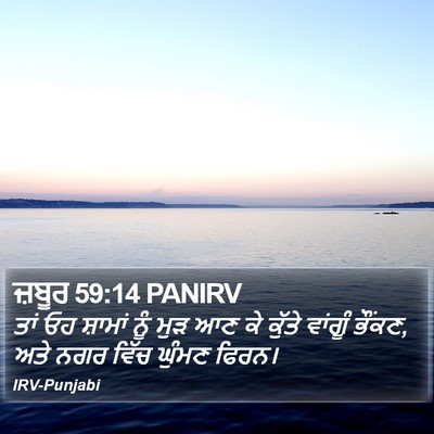 ਜ਼ਬੂਰ 59:14 PANIRV Bible Verse Image