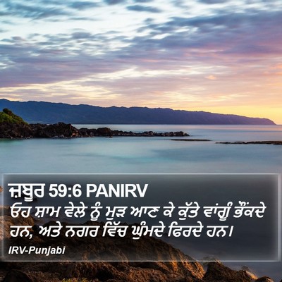 ਜ਼ਬੂਰ 59:6 PANIRV Bible Verse Image