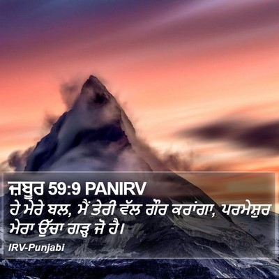 ਜ਼ਬੂਰ 59:9 PANIRV Bible Verse Image