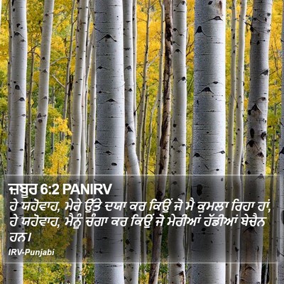 ਜ਼ਬੂਰ 6:2 PANIRV Bible Verse Image