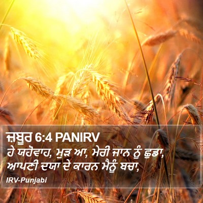 ਜ਼ਬੂਰ 6:4 PANIRV Bible Verse Image