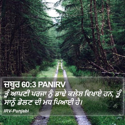 ਜ਼ਬੂਰ 60:3 PANIRV Bible Verse Image
