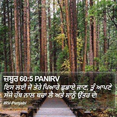 ਜ਼ਬੂਰ 60:5 PANIRV Bible Verse Image
