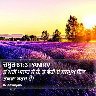 ਜ਼ਬੂਰ 61:3 PANIRV Bible Verse Image