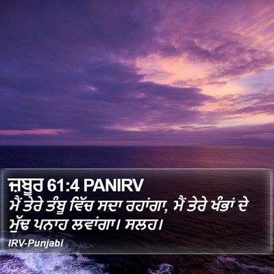 ਜ਼ਬੂਰ 61:4 PANIRV Bible Verse Image