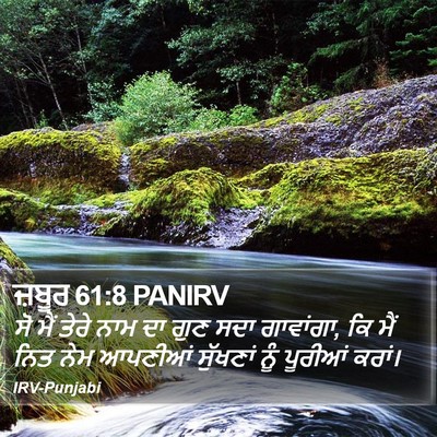 ਜ਼ਬੂਰ 61:8 PANIRV Bible Verse Image