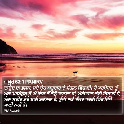 ਜ਼ਬੂਰ 63:1 PANIRV Bible Verse Image