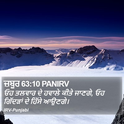 ਜ਼ਬੂਰ 63:10 PANIRV Bible Verse Image