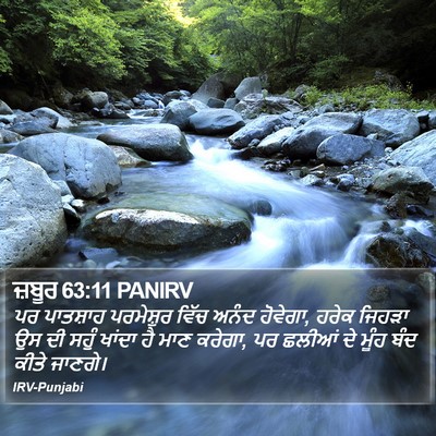 ਜ਼ਬੂਰ 63:11 PANIRV Bible Verse Image