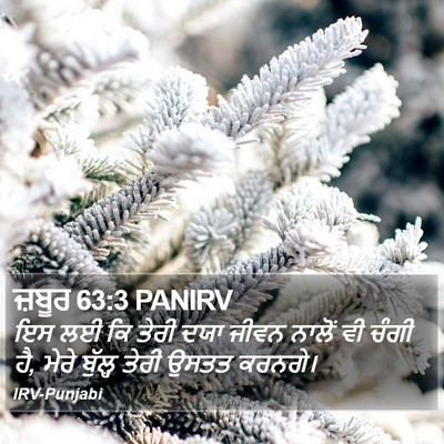 ਜ਼ਬੂਰ 63:3 PANIRV Bible Verse Image