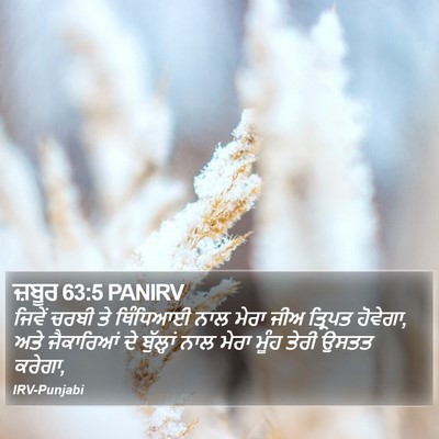 ਜ਼ਬੂਰ 63:5 PANIRV Bible Verse Image