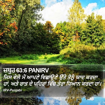 ਜ਼ਬੂਰ 63:6 PANIRV Bible Verse Image