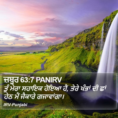 ਜ਼ਬੂਰ 63:7 PANIRV Bible Verse Image