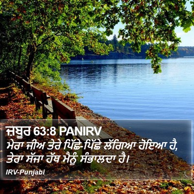 ਜ਼ਬੂਰ 63:8 PANIRV Bible Verse Image