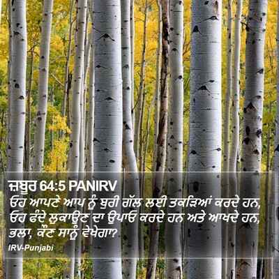 ਜ਼ਬੂਰ 64:5 PANIRV Bible Verse Image